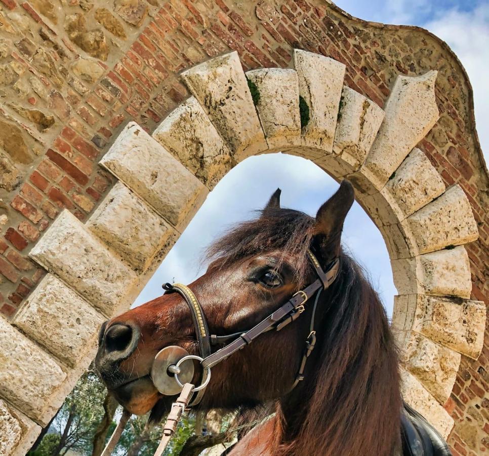 Tenuta I Mandorli Peccioli Bagian luar foto